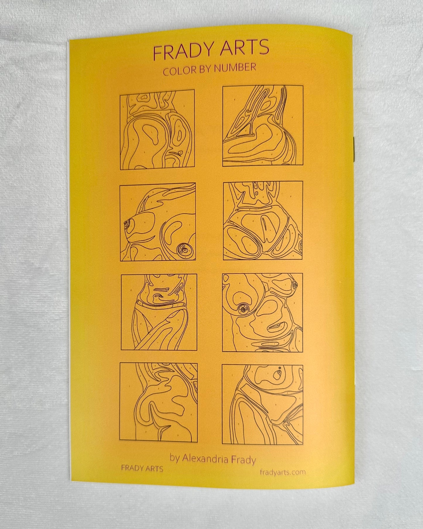 Adult Color By Number - Coloring Book